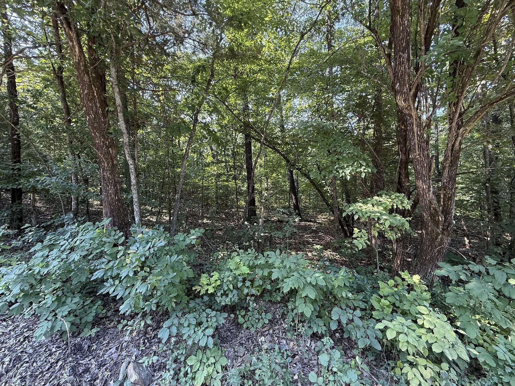 16.3 Acres of Land for Sale in Shell Knob, Missouri