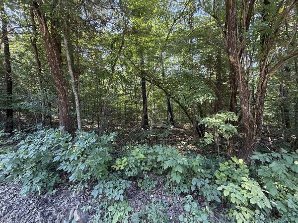 16.3 Acres of Land for Sale in Shell Knob, Missouri