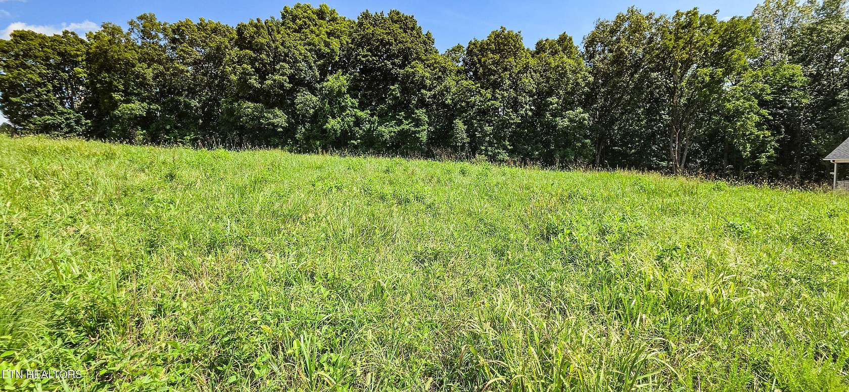 1.26 Acres of Residential Land for Sale in New Tazewell, Tennessee