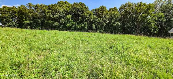 1.26 Acres of Residential Land for Sale in New Tazewell, Tennessee