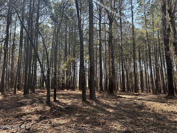 12.4 Acres of Agricultural Land for Sale in Winnabow, North Carolina