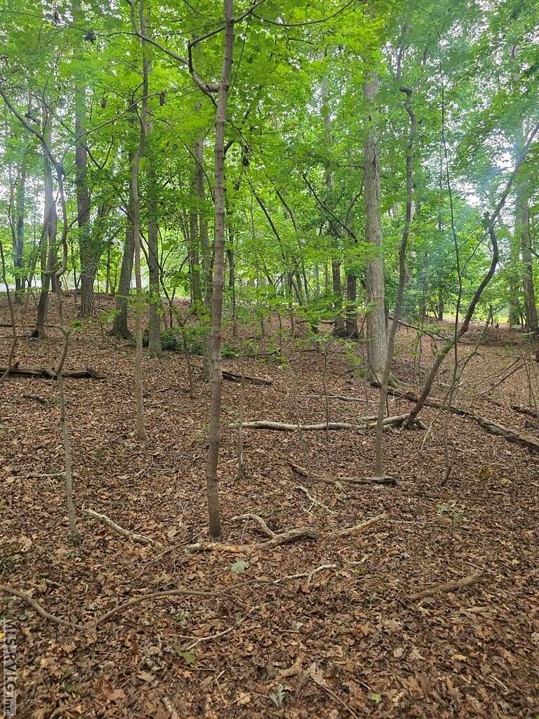 0.65 Acres of Residential Land for Sale in Littleton, North Carolina