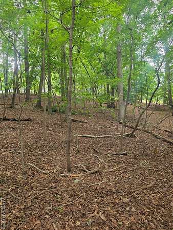 0.65 Acres of Residential Land for Sale in Littleton, North Carolina