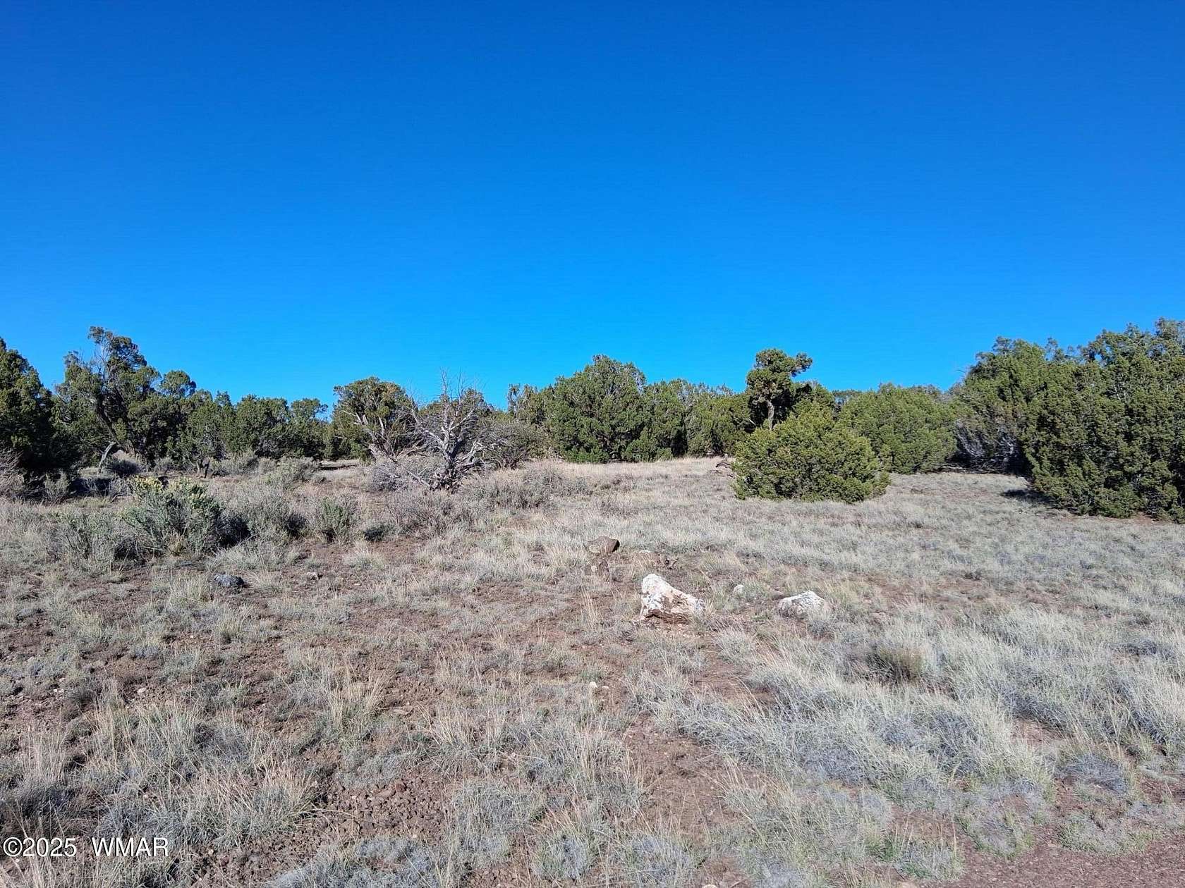 5.1 Acres of Residential Land for Sale in Concho, Arizona