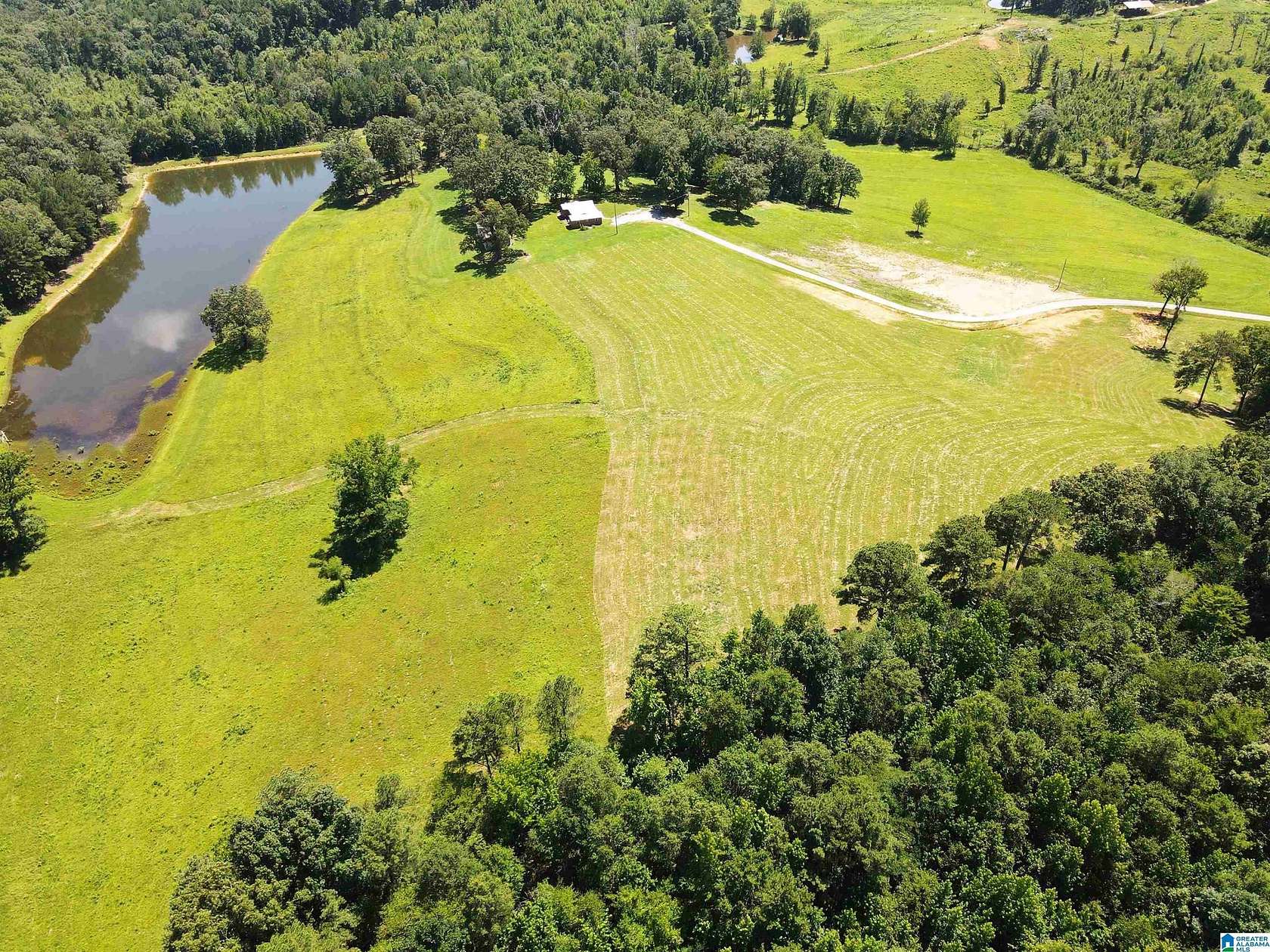 40 Acres of Land for Sale in Pell City, Alabama
