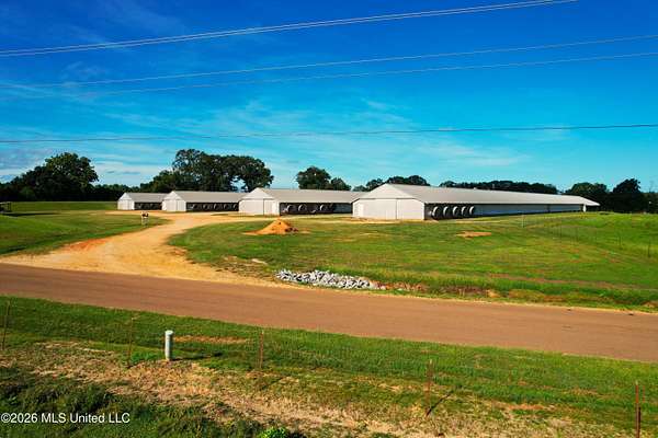 15 Acres of Improved Land for Sale in Tylertown, Mississippi