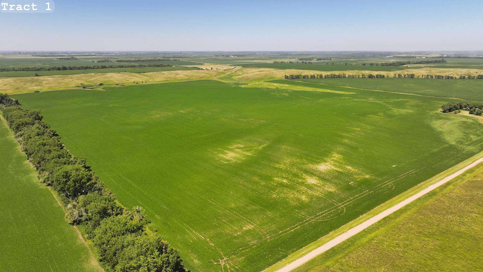 319 Acres of Land for Auction in LaMoure, North Dakota
