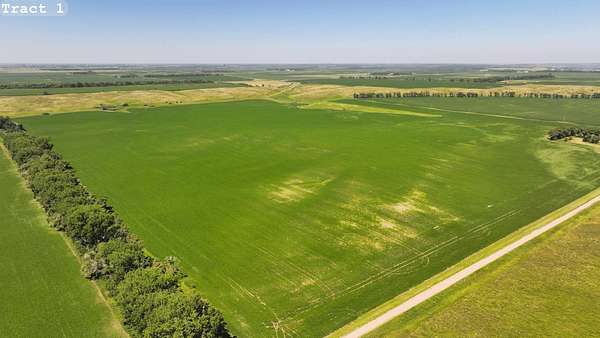 319 Acres of Land for Auction in LaMoure, North Dakota