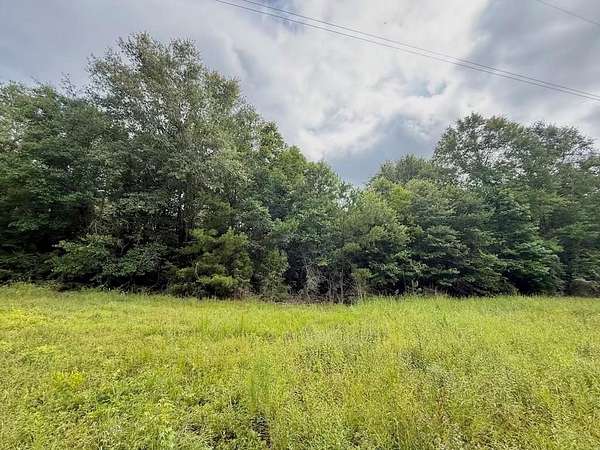 9.74 Acres of Residential Land for Sale in Jasper, Texas
