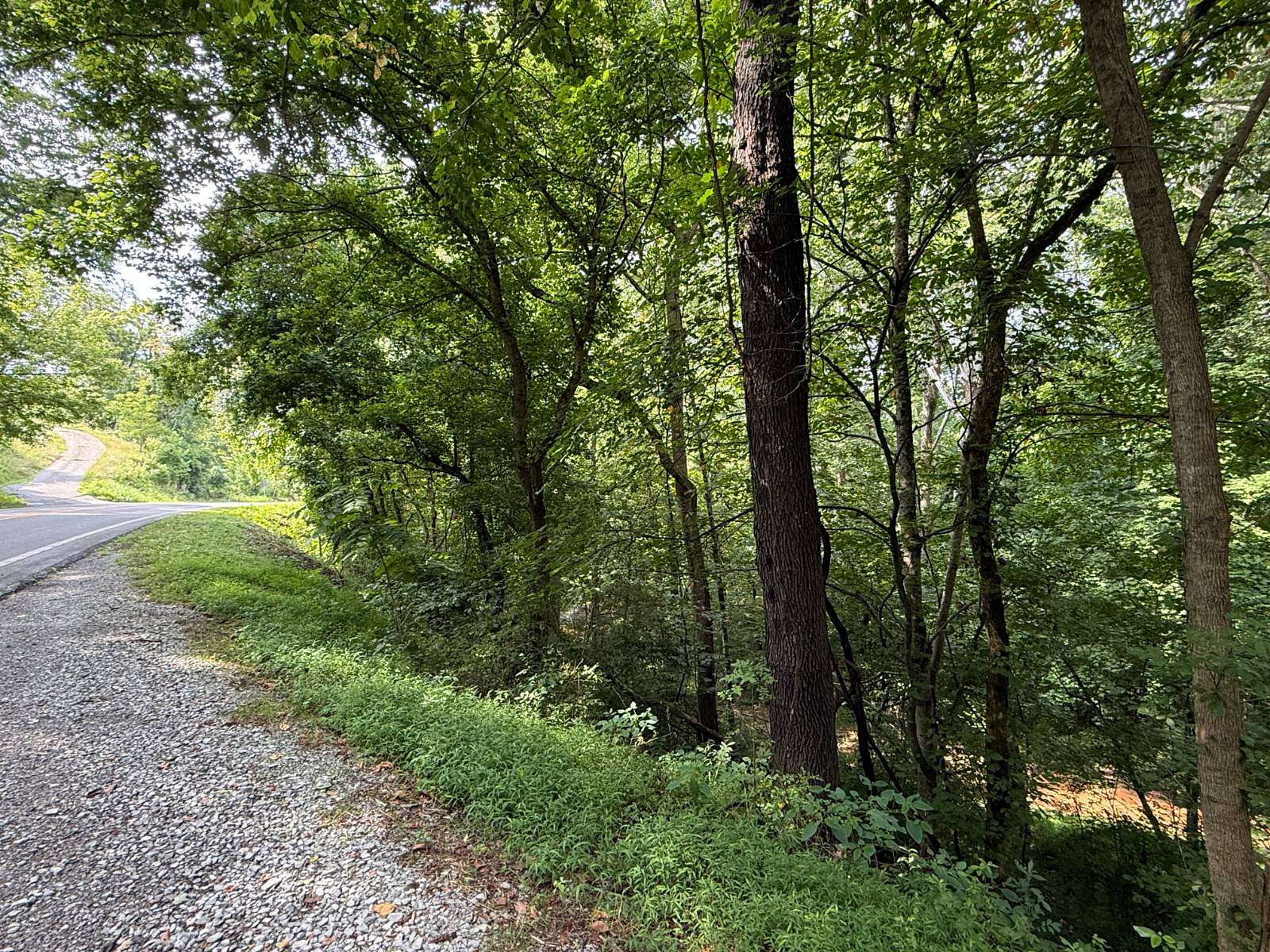 3.5 Acres of Residential Land for Sale in Frametown, West Virginia