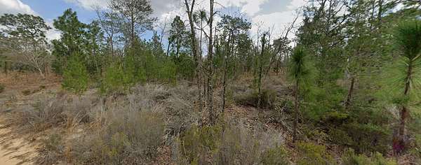 0.22 Acres of Residential Land for Sale in Interlachen, Florida