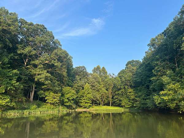 30 Acres of Land for Sale in Rushville, Illinois