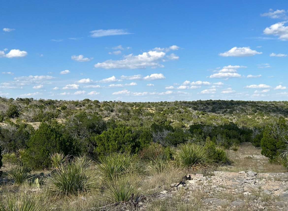 75 Acres of Recreational Land for Sale in Comstock, Texas