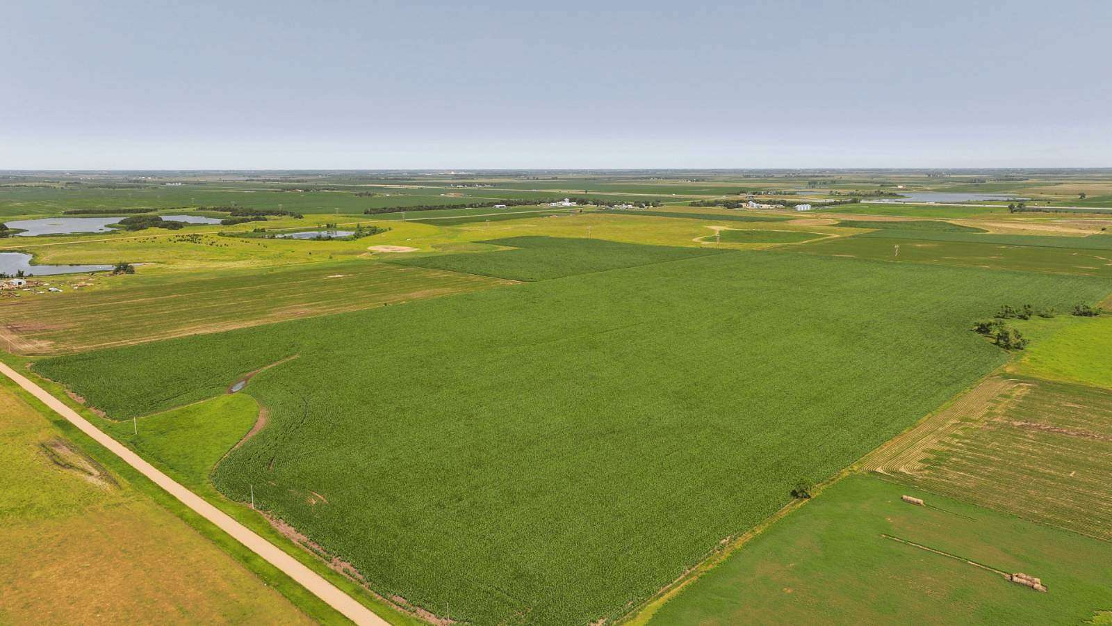80 Acres of Agricultural Land for Auction in Bridgewater, South Dakota