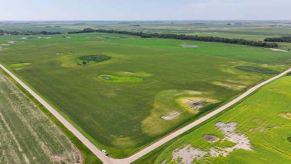 621 Acres of Agricultural Land for Auction in Esmond, North Dakota