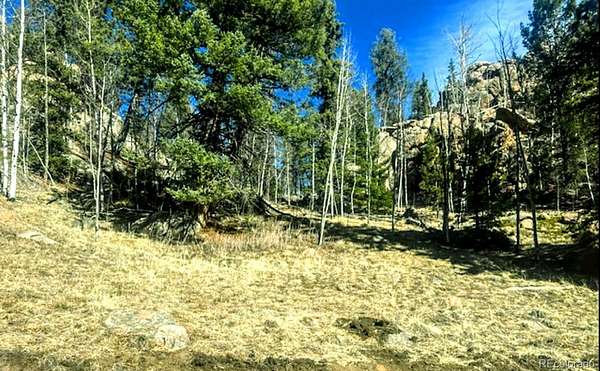 1.3 Acres of Residential Land for Sale in Florissant, Colorado