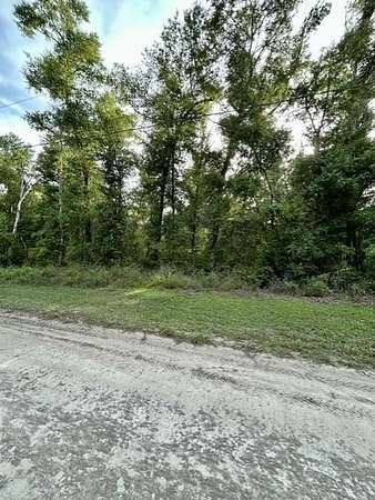 1 Acre of Residential Land for Sale in Mayo, Florida