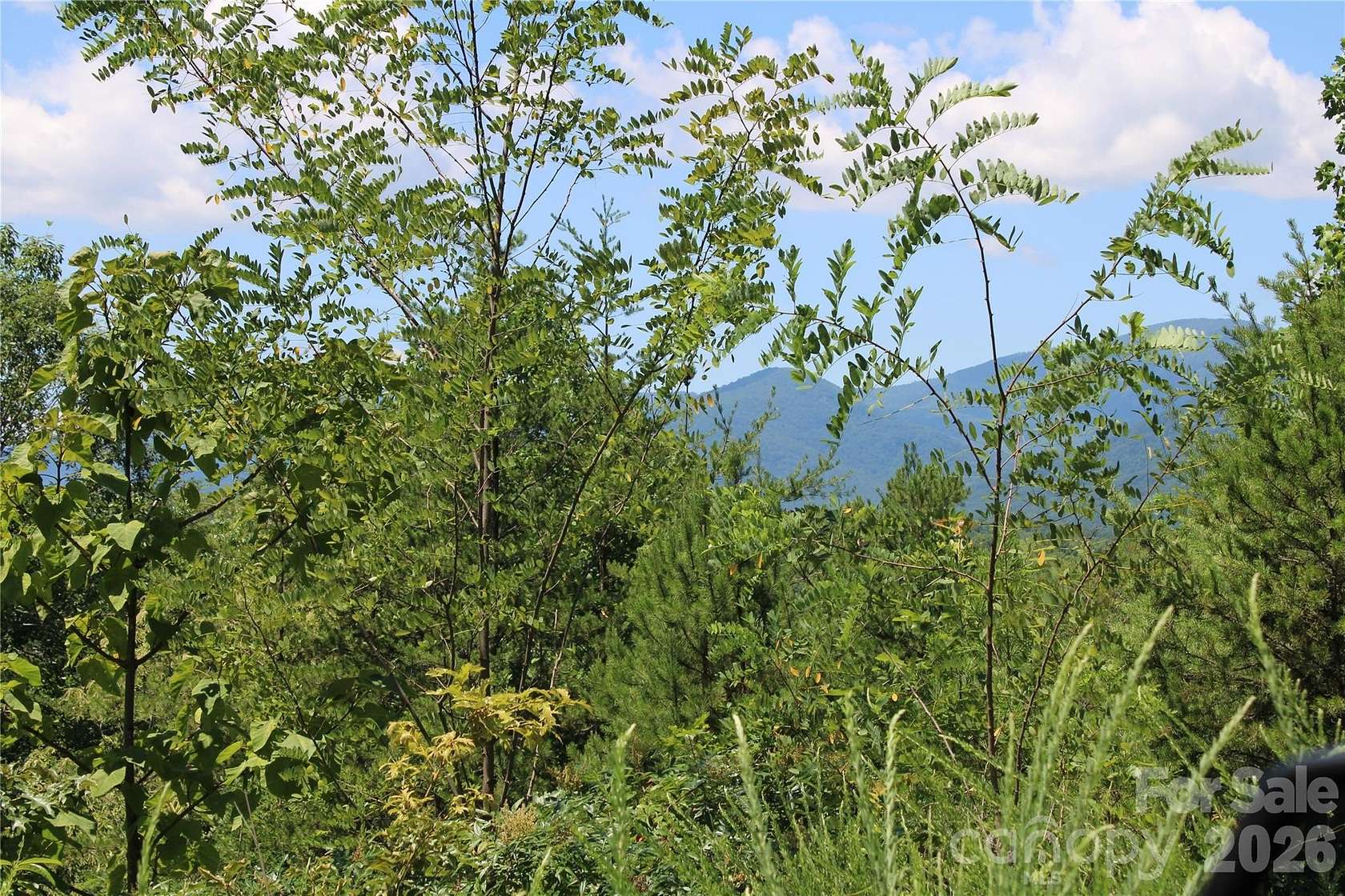 0.96 Acres of Residential Land for Sale in Lake Lure, North Carolina