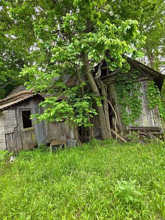 0.1 Acres of Residential Land for Sale in Oark, Arkansas
