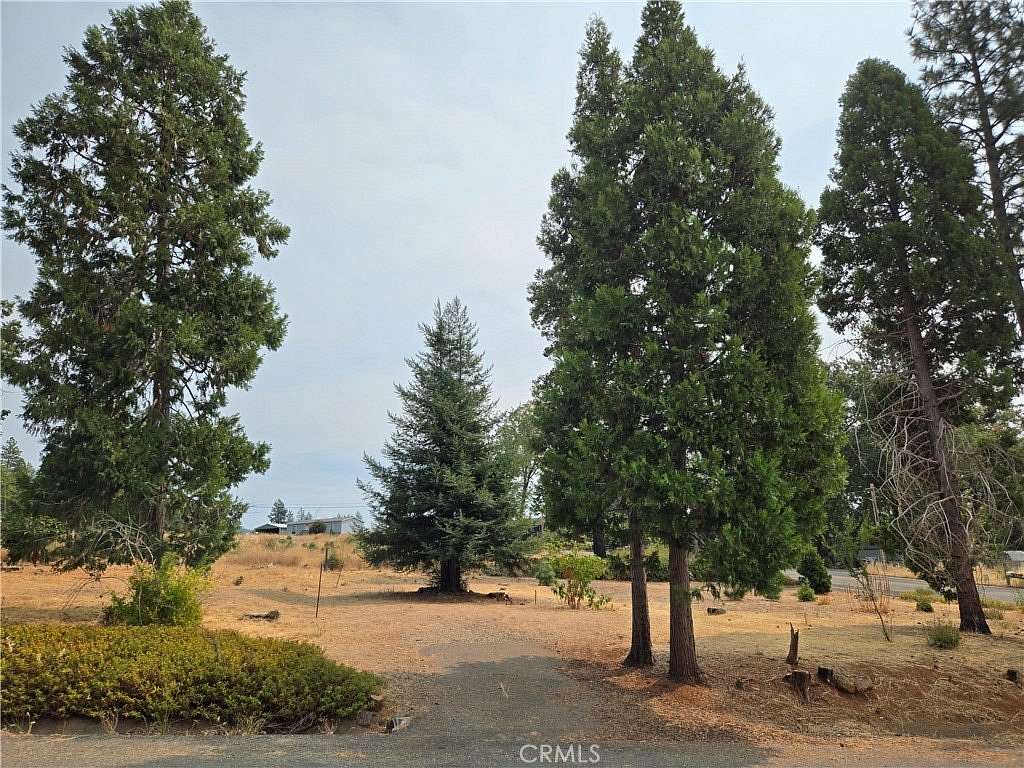 0.25 Acres of Residential Land for Sale in Magalia, California