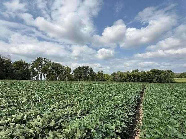 3.4 Acres of Residential Land for Sale in Cottage Grove, Minnesota