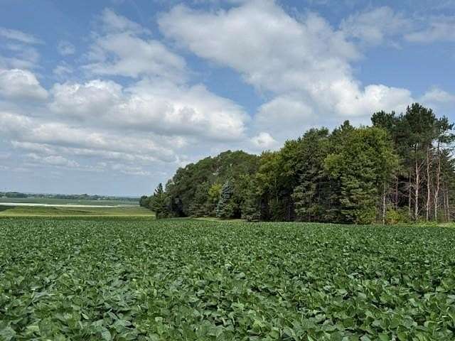 3.39 Acres of Residential Land for Sale in Cottage Grove, Minnesota