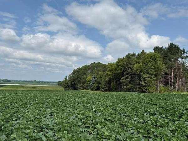 3.39 Acres of Residential Land for Sale in Cottage Grove, Minnesota