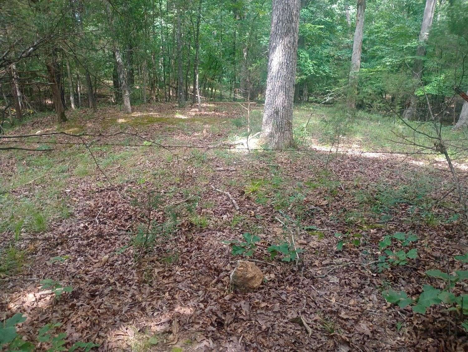 40 Acres of Recreational Land for Sale in Ravenden, Arkansas