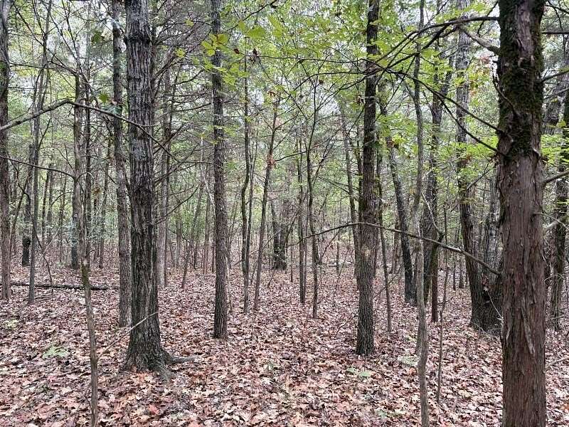 41.2 Acres of Recreational Land for Sale in Ravenden, Arkansas