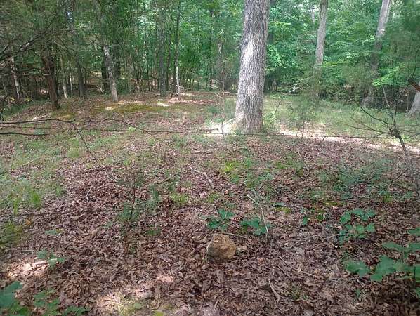 40 Acres of Recreational Land for Sale in Ravenden, Arkansas