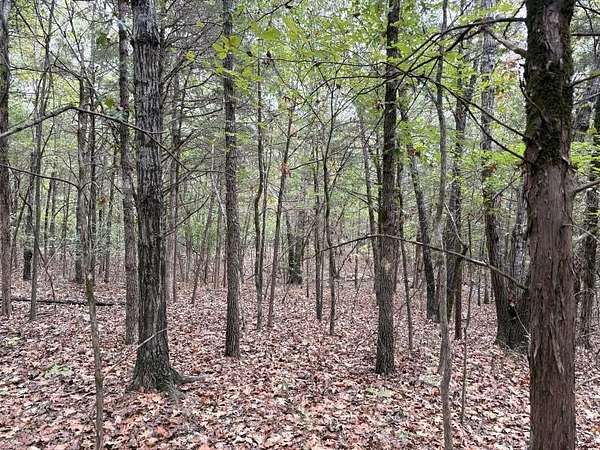 41.2 Acres of Recreational Land for Sale in Ravenden, Arkansas