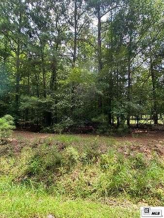 13.7 Acres of Land for Sale in Calhoun, Louisiana