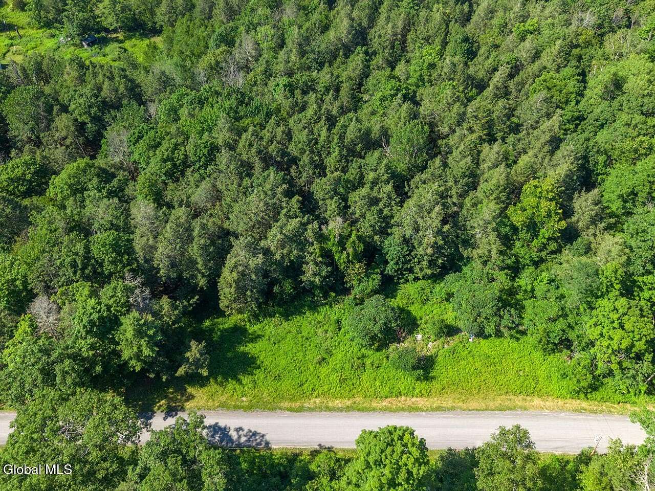 5.7 Acres of Land for Sale in Middleburgh, New York