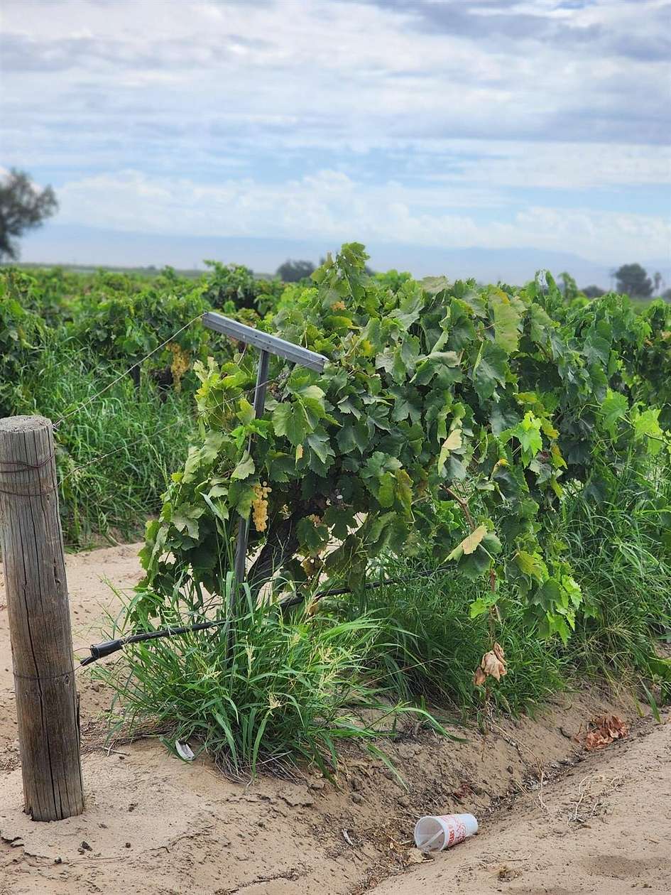 8.65 Acres of Land for Sale in Fresno, California