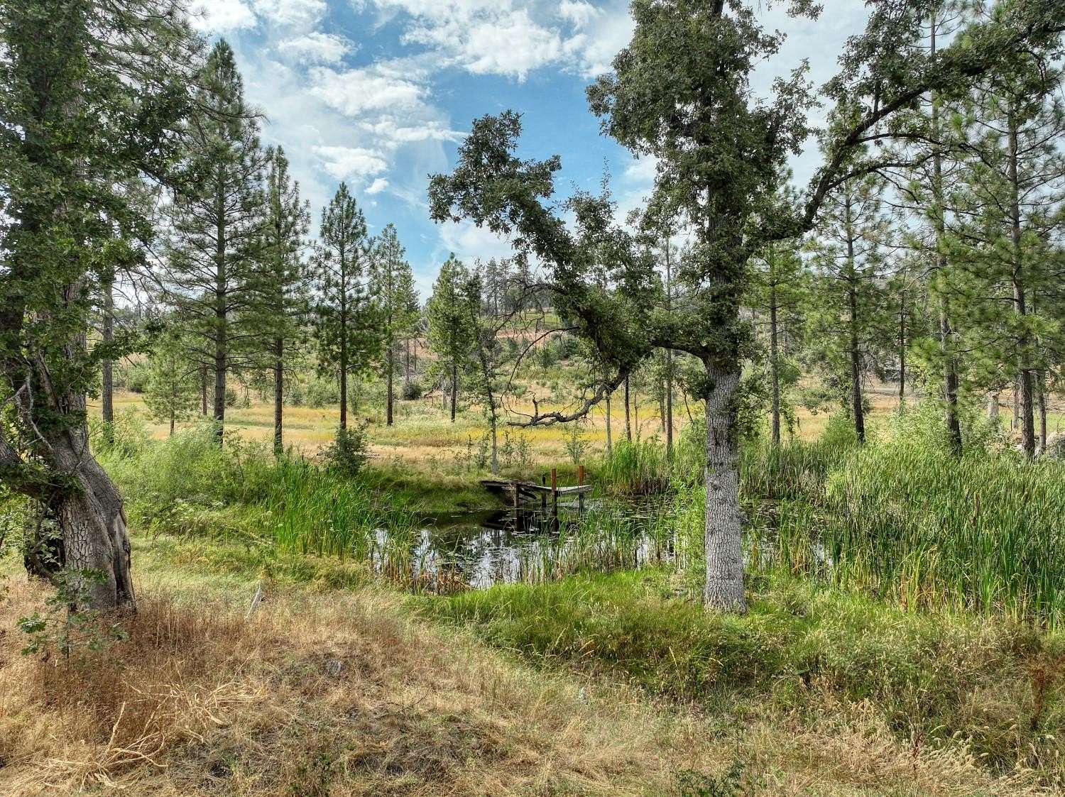 7.63 Acres of Residential Land for Sale in Auberry, California