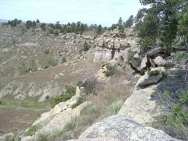 20 Acres of Land for Sale in Shepherd, Montana