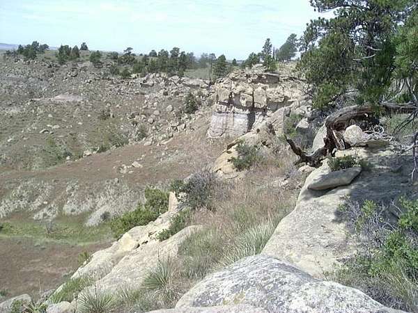 20 Acres of Land for Sale in Shepherd, Montana