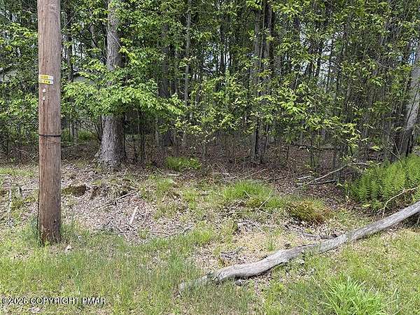0.27 Acres of Residential Land for Sale in Pocono Lake, Pennsylvania