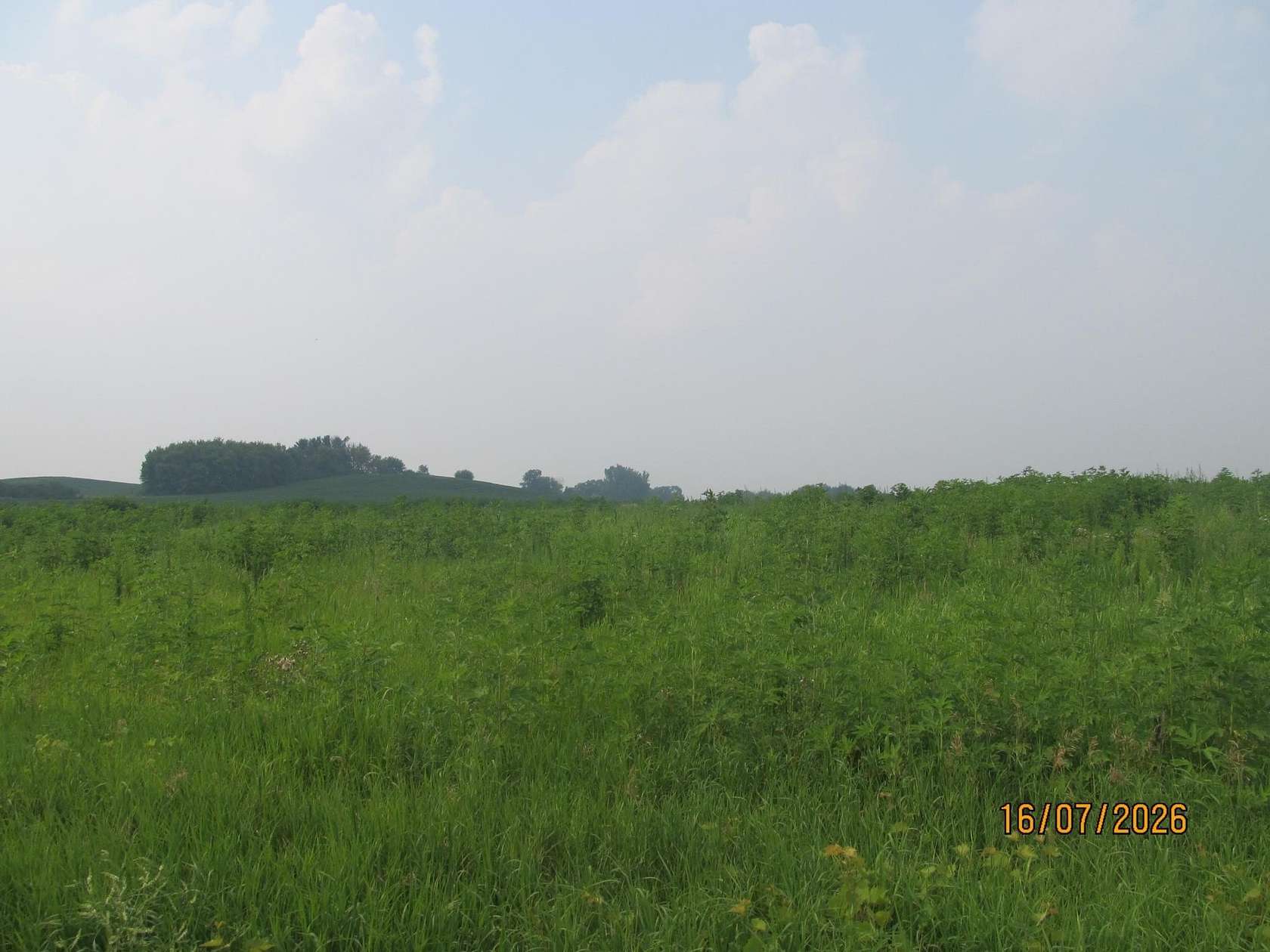 2 Acres of Land for Sale in Roberts, Wisconsin