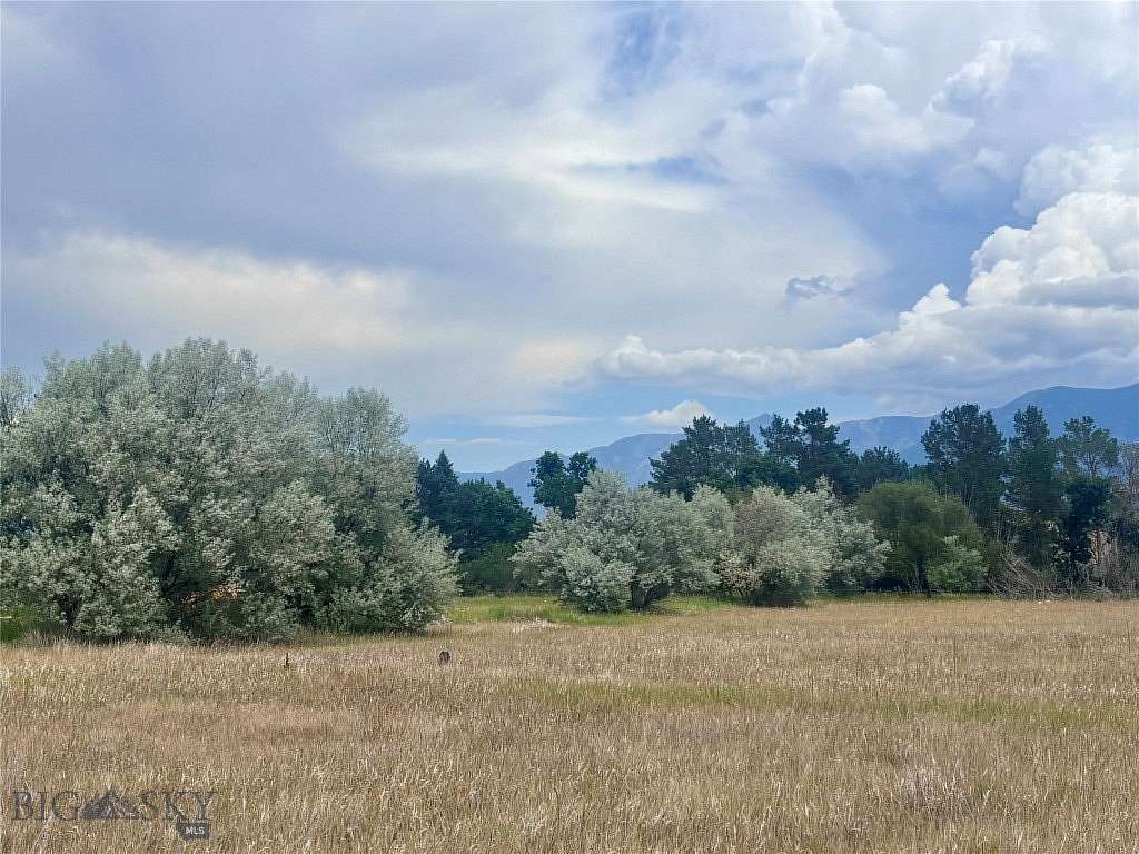 14 Acres of Recreational & Residential Land for Sale in Livingston, Montana