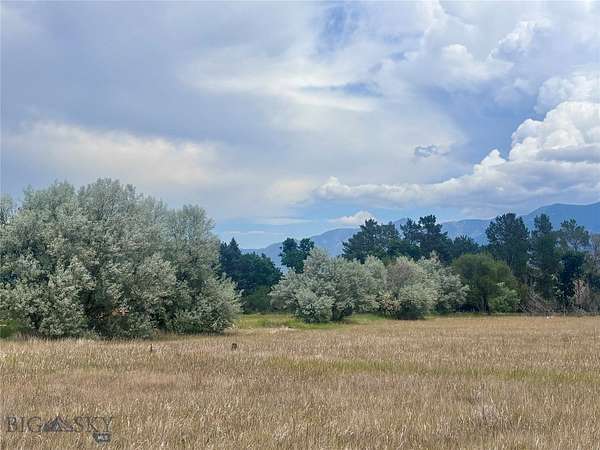 14 Acres of Recreational & Residential Land for Sale in Livingston, Montana
