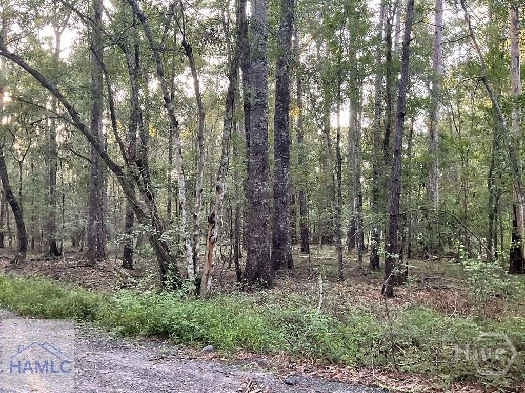 1.72 Acres of Residential Land for Sale in Fleming, Georgia