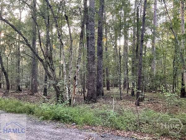 1.72 Acres of Residential Land for Sale in Fleming, Georgia