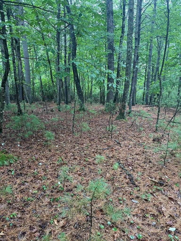 5 Acres of Land for Sale in Galax, Virginia