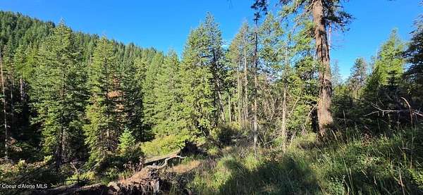 10 Acres of Recreational Land for Sale in Coeur d'Alene, Idaho
