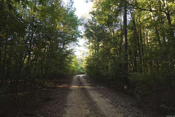 160 Acres of Recreational Land for Sale in McCaskill, Arkansas