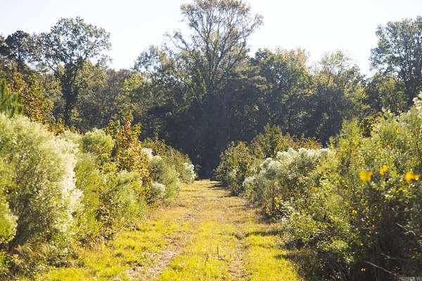 160 Acres of Recreational Land for Sale in McCaskill, Arkansas