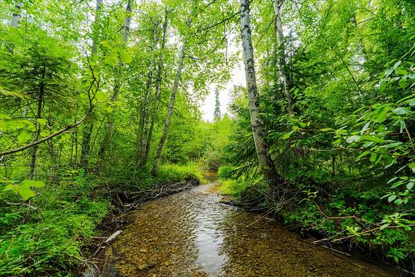 7.45 Acres of Residential Land for Sale in Columbia Falls, Montana