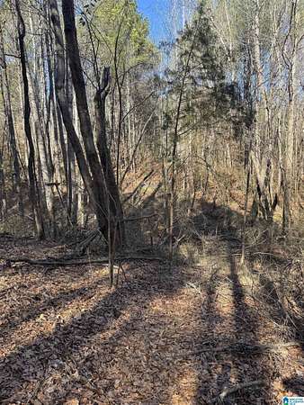 8.32 Acres of Residential Land for Sale in Vance, Alabama