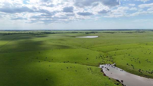 2,700 Acres of Land for Auction in Matfield Green, Kansas